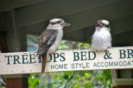 Treetops Bed & Breakfast Blackburn Eksteriør billede